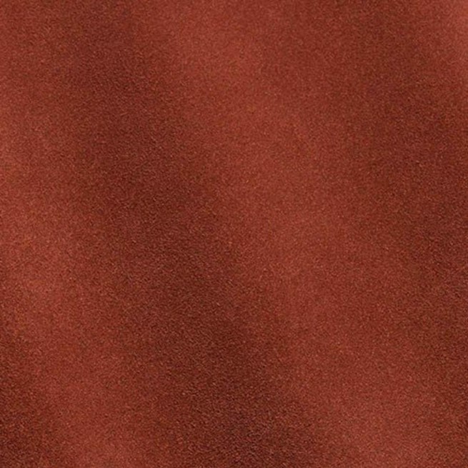 Aligo Group фото