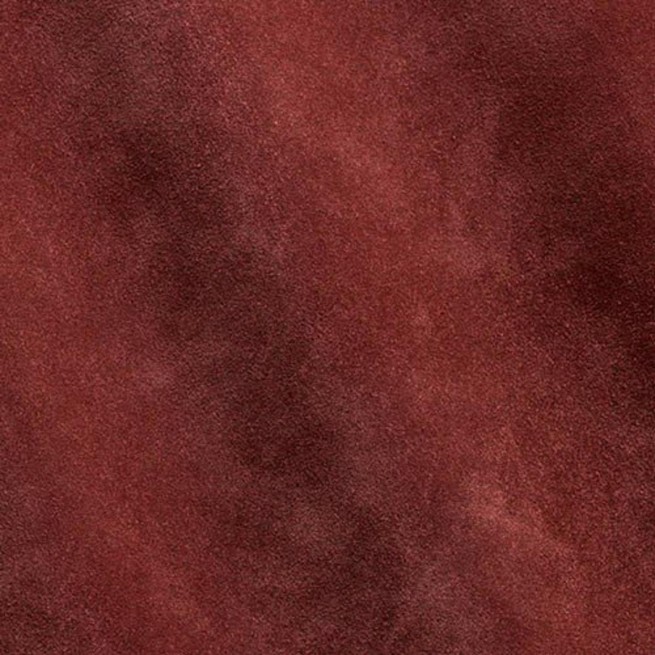 Aligo Group фото