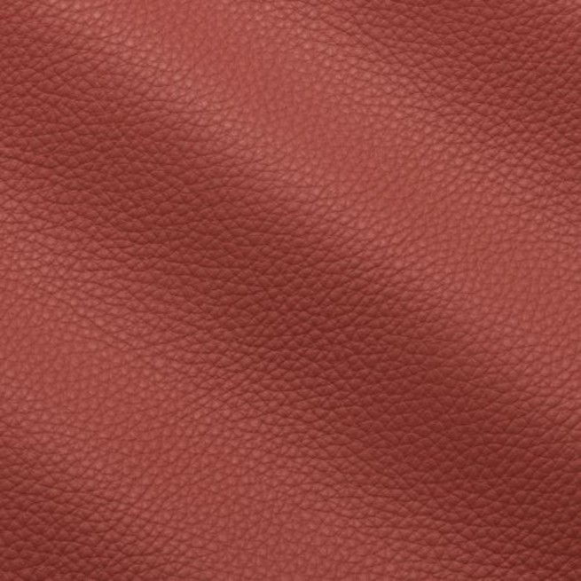 Aligo Group фото