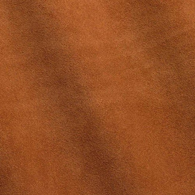 Aligo Group фото