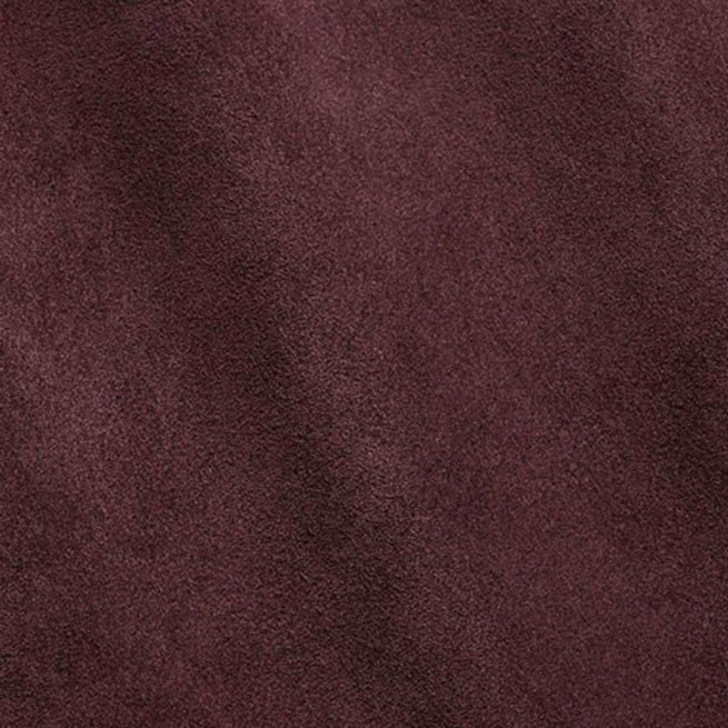 Aligo Group фото