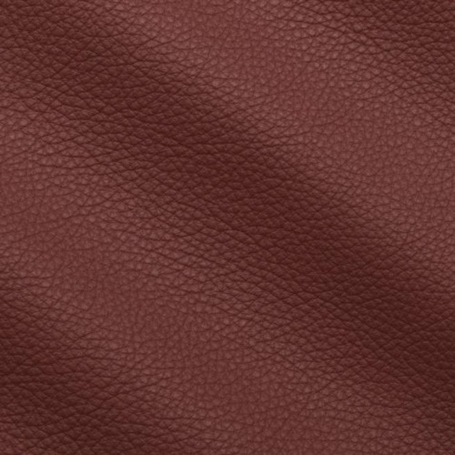 Aligo Group фото