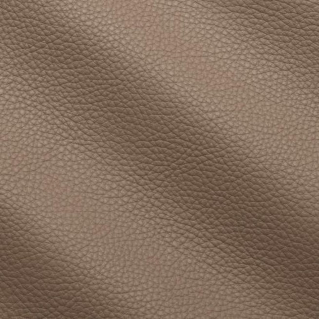 Aligo Group фото