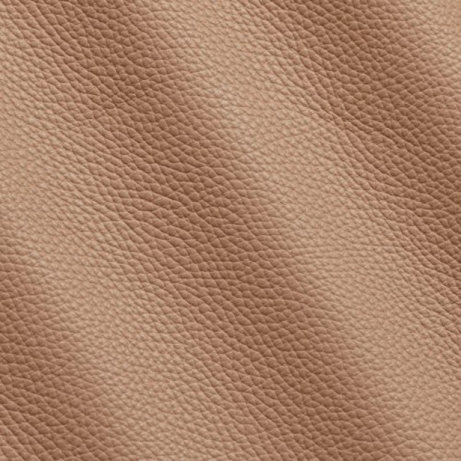 Aligo Group фото