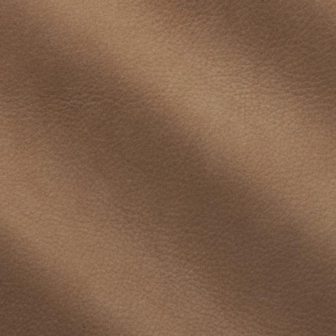 Aligo Group фото