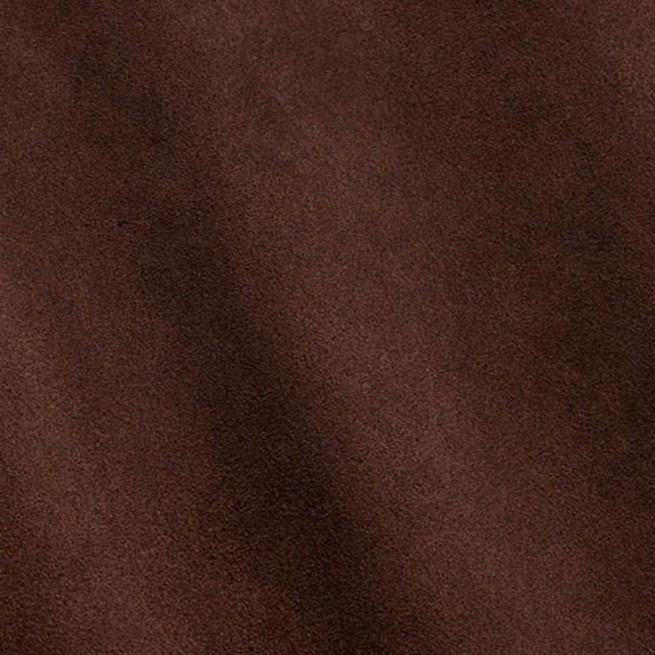 Aligo Group фото