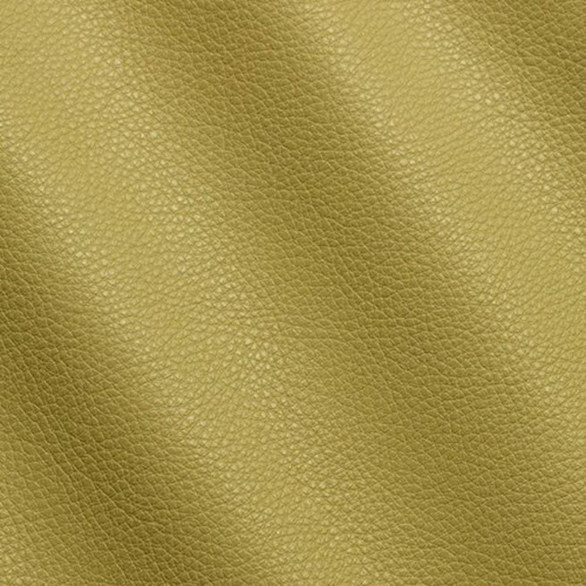 Aligo Group фото