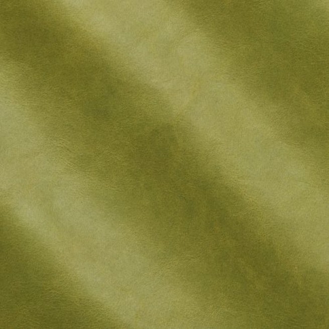 Aligo Group фото