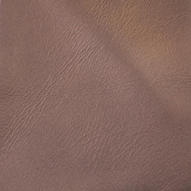 Aligo Group фото