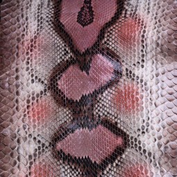 Питон натуральный №45 беж с розовым глянец