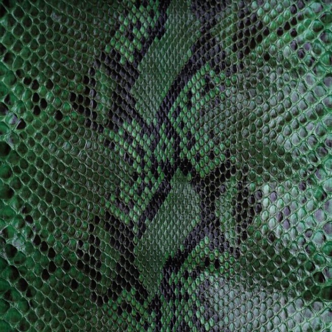 Aligo Group фото