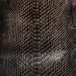 Питон натуральный №43 CURTUS золото на черном