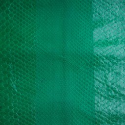 Пітон натуральний №32 ізумрудний