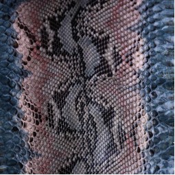 Пітон натуральний №1 сіро-блакитний