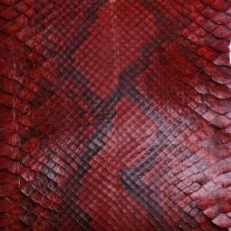 Пітон натуральний №12 коньяк