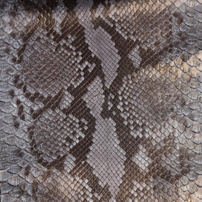 Aligo Group фото