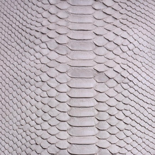 Питон натуральный №47 CURTUS беж п/глян
