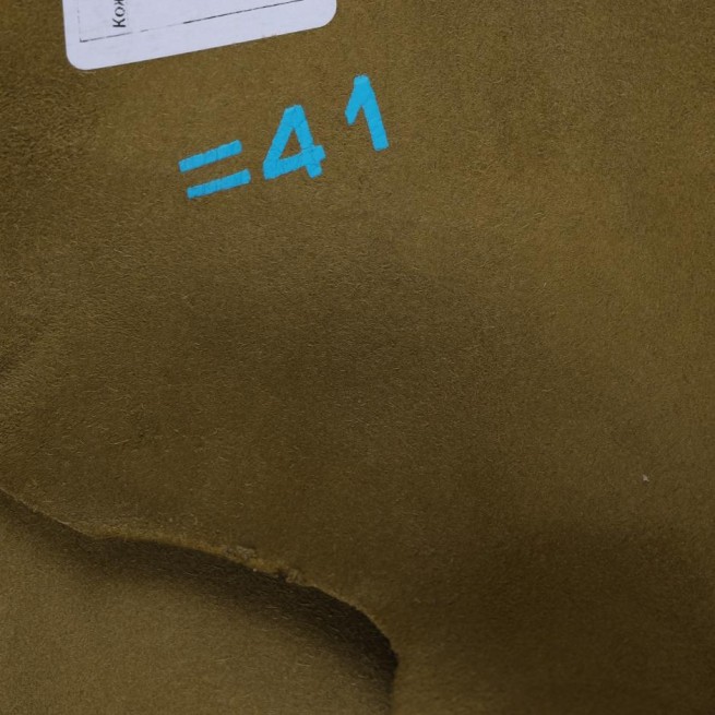 Aligo Group фото