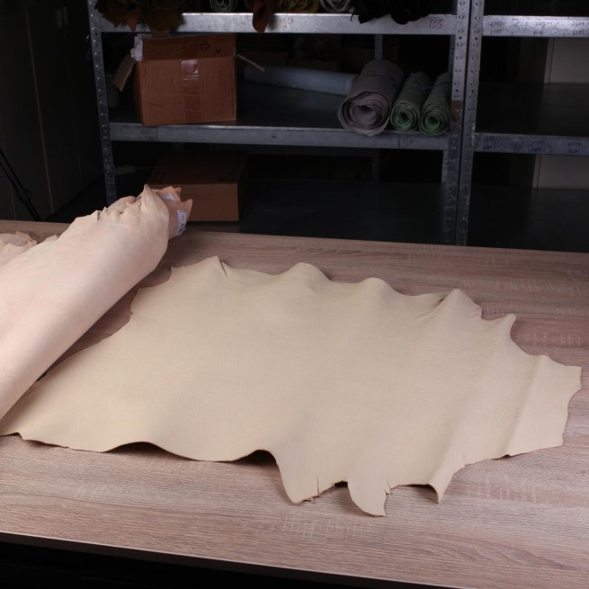 Aligo Group фото