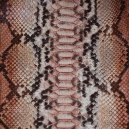 Пітон натуральний коричневий з сірим
