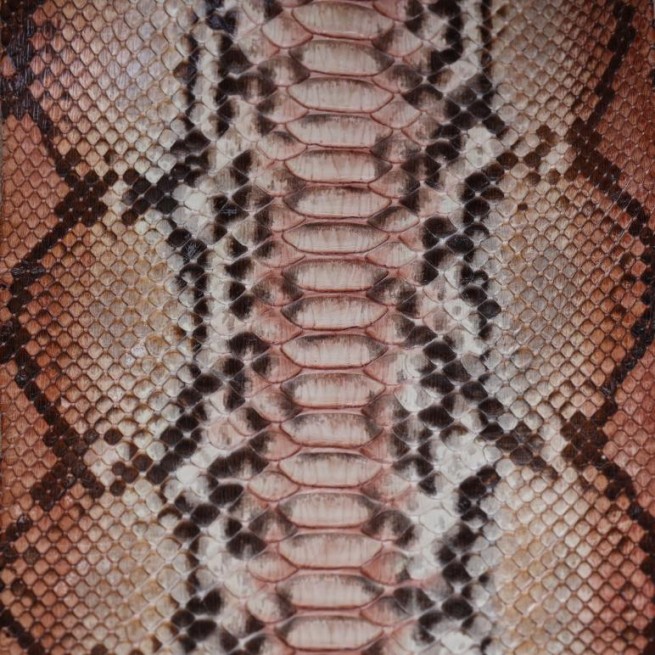 Aligo Group фото