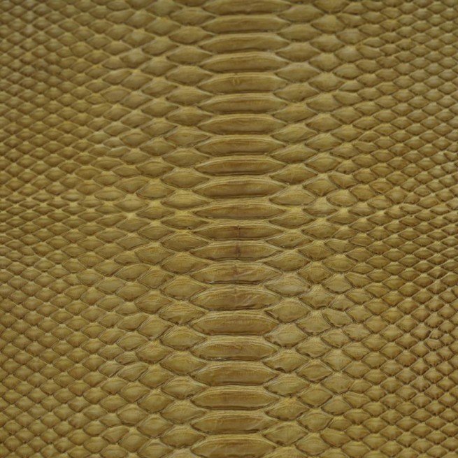 Aligo Group фото