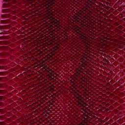 Пітон натуральний бордо глянець