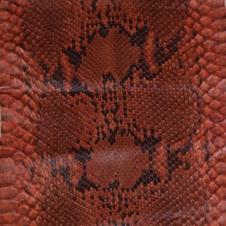 Пітон натуральний коричневий