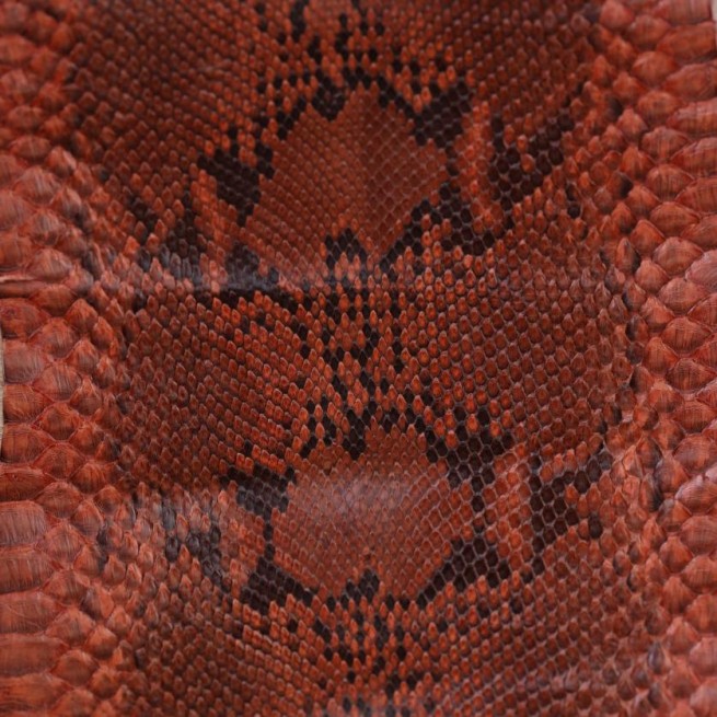 Пітон натуральний коричневий