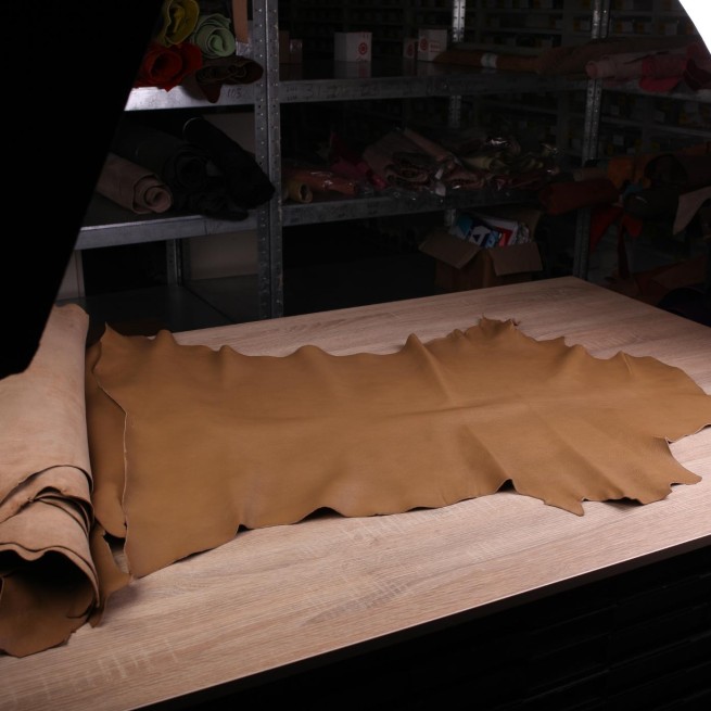 Aligo Group фото