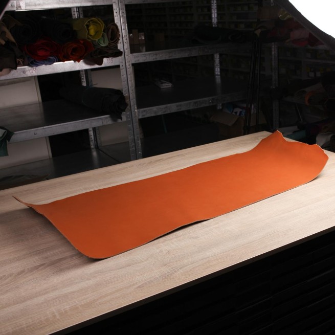 Aligo Group фото