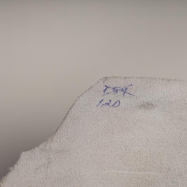 Aligo Group фото