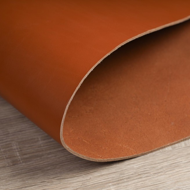 Aligo Group фото