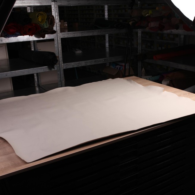 Aligo Group фото