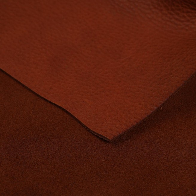 Aligo Group фото