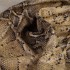 Шкіра ВРХ жовтий PRINT STAMP PYTHON 1,1 мм