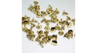 Хольнітени та заклепки (229)