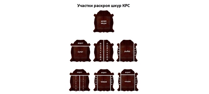 Півшкіра кулат чепрак воріт пола - способи розкрою шкір ВРХ